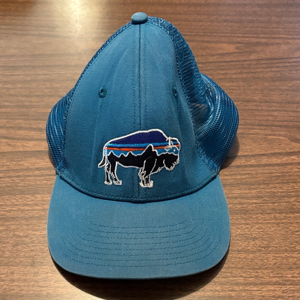 Patagonia Fitz Roy Bison LoPro Trucker Hat Blue Teal Color OS